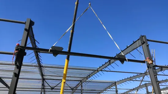 Capannone in metallo a basso costo che costruisce un pollaio prefabbricato con struttura in acciaio