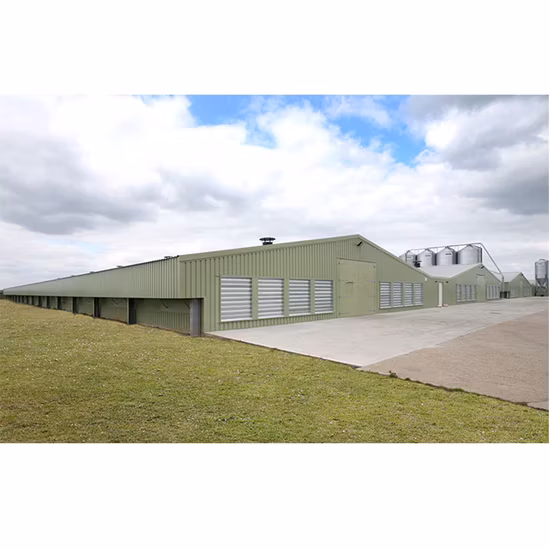 Design dal layout moderno Struttura in acciaio Strato Uovo Gabbia per polli Broiler Pollame Fattoria