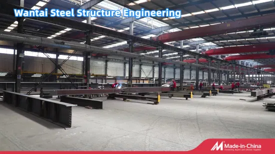 Fornitura di edificio/officina/hangar/magazzino prefabbricati in acciaio con struttura in acciaio zincato